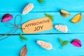 Appreciative joy text on paper tag Royalty Free Stock Photo