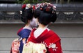 Apprentice geisha,Maiko couple