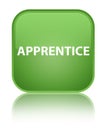 Apprentice special soft green square button