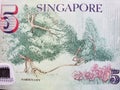 approach to singaporean banknote of five dollars, background and texture Royalty Free Stock Photo