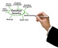 Approaches to Database Security Royalty Free Stock Photo