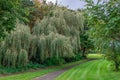 Approaching Autumn walk in the park Royalty Free Stock Photo