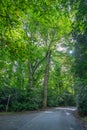 Approaching Autumn walk in the park Royalty Free Stock Photo