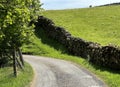 Approaching a bend on, Low Sleights Road, with fields and trees in, Ingleton, UK Royalty Free Stock Photo