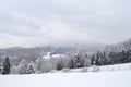 Approaching blizzard in mountain landscape. spruce trees on snow covered meadow. bad weather condition in winter. fog and clouds