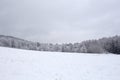 Approaching blizzard in mountain landscape. spruce trees on snow covered meadow. bad weather condition in winter. fog and clouds