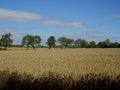 Approaching the Cotswolds village of Old Sodbury.