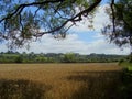 Approaching the Cotswolds village of Old Sodbury.