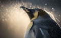 Close to the emperor penguin with intricate feather patterns in snow generative AI Royalty Free Stock Photo