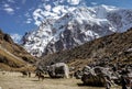 Salkantay Mountain Hike Royalty Free Stock Photo