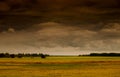 Approaching thunderstorm on background fields with harvest Royalty Free Stock Photo