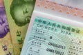 Approved China Business Visa M Visa on Chinese Yuan currency b