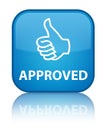 Approved (thumbs up icon) special cyan blue square button