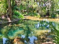 Gemini Springs in Volusia County, Florida Royalty Free Stock Photo