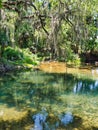 Gemini Springs in Volusia County, Florida Royalty Free Stock Photo