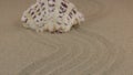 Approximation of a beautiful white seashell standing on a zigzag made of sand.