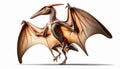 illustration of Pteranodon figure anatomycal Isolated in white background. Generative AI Royalty Free Stock Photo
