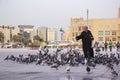 Lots of pigeons and local people in Doha