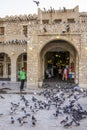 Lots of pigeons and local people in Doha