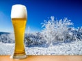 Apres Ski Party in german Royalty Free Stock Photo