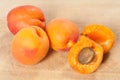 Apricot