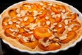 Apricot and almond tart Royalty Free Stock Photo