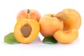 Apricot apricots slice half fruit fresh fruits isolated on white Royalty Free Stock Photo