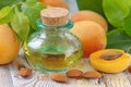 Apricot aroma oil Royalty Free Stock Photo