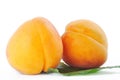 Apricot and black currant Royalty Free Stock Photo