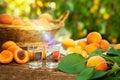 Apricot brandy and ripe apricots on table