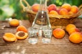 Apricot brandy in shot glass with raw apricots Royalty Free Stock Photo