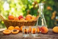 Apricot brandy in small shot glass