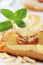 Apricot cake Royalty Free Stock Photo