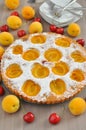 Apricot cake with cherries