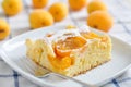 Apricot cake Royalty Free Stock Photo