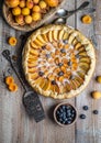 Apricot cake or pie with fresh fruits Royalty Free Stock Photo