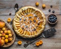 Apricot cake or pie with fresh fruits Royalty Free Stock Photo