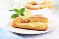 Apricot cake with pudding cream Royalty Free Stock Photo