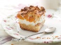 Apricot cake Royalty Free Stock Photo