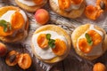 Apricot cakes with cream and mint close-up horizontal top view