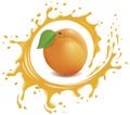 Fresh apricot with splash and many juice drops Royalty Free Stock Photo