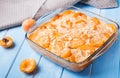 Apricot clafoutis Royalty Free Stock Photo