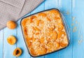 Apricot clafoutis Royalty Free Stock Photo