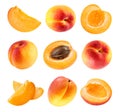 Apricot collection Clipping Path Royalty Free Stock Photo