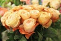 Apricot-colored rose bouquet, vintage variety close-up