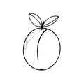 Apricot coloring page for adults and kids. Black and white print with fruit