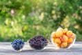 Apricot, currant and blueberry in bowls on wooden table Royalty Free Stock Photo