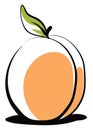 Apricot drawing, illustration, vector