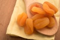 Apricot dried Royalty Free Stock Photo