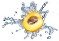 Apricot dropping into water Royalty Free Stock Photo